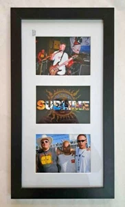 Sublime Glass Front & Framed  12in x 22in - Picture 1 of 1