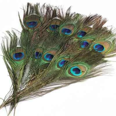 15X Natural Peacock Feathers Real Peacock Tail Feathers 25-30CM Feathers Decors