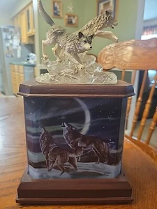 2007 Bradford Exchange Souls of The Wilderness Illuminations of The Wild 10.5" - Picture 1 of 7