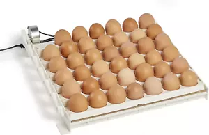 3200 Automatic 41 Spot Egg Turner, Eliminate Manual Handling & Improve Hatching - Picture 1 of 9