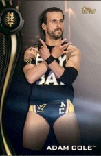 2019 Topps WWE NXT Roster Wrestling  Card Pick