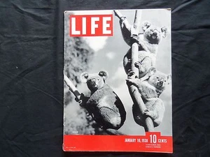 1938 JANUARY 10 LIFE MAGAZINE - KOALAS - L 60 - Picture 1 of 8