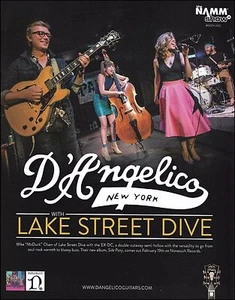 Lake Street Dive banda Mike McDuck Olsen D'Angelico EX-DC anuncio de guitarra - Imagen 1 de 3