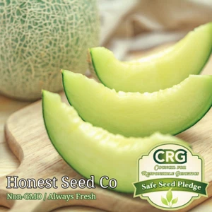 Honeydew Melon Seeds | Non-GMO | Heirloom | Fresh Garden Seeds - Picture 1 of 1