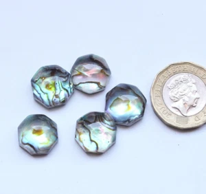 Abalone Cabochon Gemma Conchiglia Ottagonale Perla Doppia Liscia Lucida Cabine 5 Pezzi - Foto 1 di 4