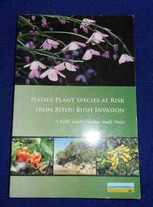 Native Plant Species At Risk From Bitou Bush Invasion:  | L/New PB, 2005  - Picture 1 of 1