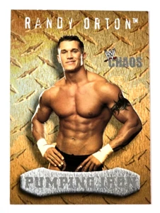 2004 Fleer WWE Chaos Randy Orton Pumping Iron #91 - Picture 1 of 2