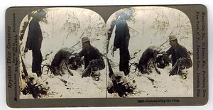 Keystone Stereoview Karte Stereoskopische Hirschjagd 11632 Der Preis 1901 - Bild 1 von 2