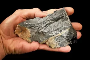 PICASSO MARBLE 5" x 3 1/2" 1 Lb 1 Oz Lapidary Rough Cabbing Raw Rock Mineral - Picture 1 of 1