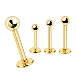 Gold Plated 316L Surgical Steel Labret/Monroe with Ball - Picture 1 of 1