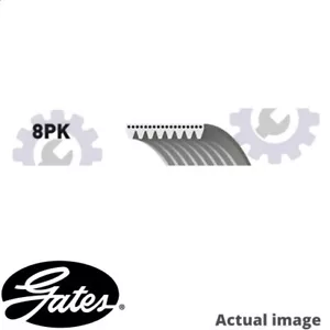 NEW V-RIBBED BELTS FOR LAND ROVER RANGE ROVER III L322 368DT 276DT GATES 8PK2512 - Picture 1 of 8