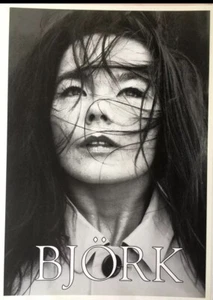 Björk Black & White Poster 24 x 33,5. KOSTENLOSER VERSAND! - Bild 1 von 1