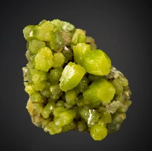 Melanson TN Collection Pyromorphite Kransberg, Hesse, Germany 1212-9026 - Picture 1 of 4
