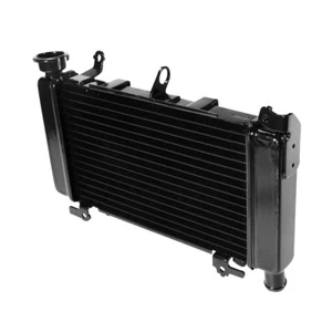 Kühler Radiator Cooler Cooling Fit For Honda CB500X CB500F 2013 2014 2015 - Bild 1 von 9