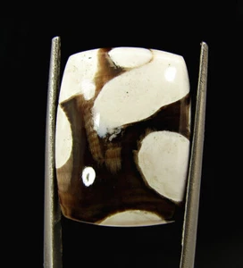 13.90 Ct Natural Peanut Wood Jasper Loose Gemstone Cabochon Wire Wrap - 60690 - Picture 1 of 5