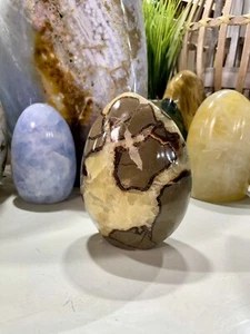 Septarischer Kristall Drachenstein schönes Drachenauge 5" Yoga Reiki ZENDA - Bild 1 von 10