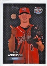 2017 Hickory Crawdads (High A-Texas Rangers) Reid Anderson