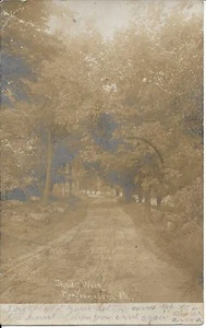 Foto postal real vintage de A Shady Walk in Newfoundland PA usada postal 1906 - Imagen 1 de 1