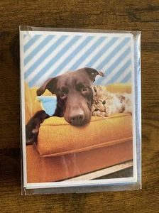 8 Cards And Envelopes With Cute Dog and Cat On Yellow Couch All Occasion New - Picture 1 of 3