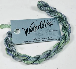 Caron Waterlilies Color 112 FIR 12-ply Silk Embroidery Thread Skein 6 yds NEW - Picture 1 of 2