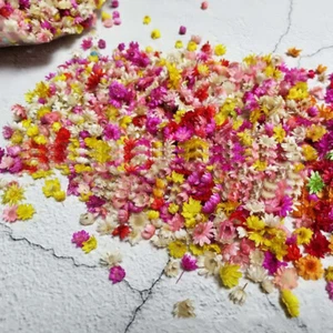 100x Daisy Dried flower head Epoxy Resin Pendant Jewelry Making DIY Accessories - Picture 1 of 6