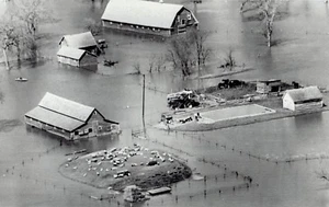 1975 Drahtfoto Luftscheunen mit Wasser überflutet auf der Minnesota Seite des Red River - Bild 1 von 2