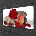 Wandbilder aus Plexiglas 100x50 Acrylglasbild Rose Muschel Steine Kunst
