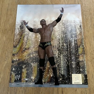 WWE RANDY ORTON OFFICIAL LICENSED 8X10 WRESTLING PHOTO AUTHENTIC PHOTO FILE WWF - Изображение 1 из 4