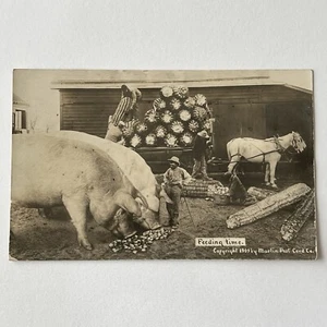 Antigua Postal Fotografía Real Exagerada RPPC Cerdo Gigante Cerdo Maíz Granja Extraña - Imagen 1 de 12