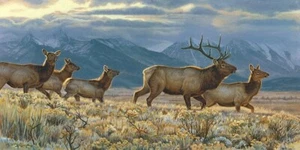 On The Run, Kalon Baughan, Wall Art Print Poster 11" x 14" 1736 - Picture 1 of 1