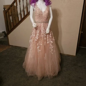 Eva Dress Pink EV-5232 L Long Formal Rhinestones  - Picture 1 of 13