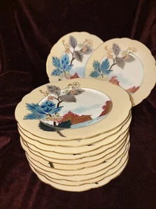 Beautiful design 12 piece at 9 inch hand-painted floral plates - Picture 1 of 5