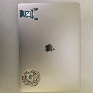 ORIGINAL OEM Apple MacBook Pro 16" LCD Screen Display GRAU A2141 2019 GESPRUNGEN - Bild 1 von 4