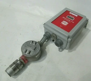 RKI Instruments Beacon 110 Gasüberwachungssystem 65-2515RK/O2 B110-118010 - Bild 1 von 12