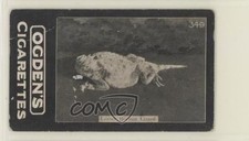 1902 Ogden's General Interest Series C Tobacco Lesser Horned Lizard #349
