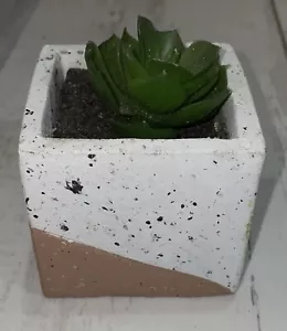 Old East Main Faux Artificial Succulent Plant in Pot Home/Office Decor NEW - Picture 1 of 6