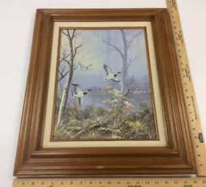 Olio su tela - Waterfowl in volo - Firmato da C. Balwin - Foto 1 di 9