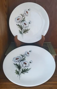 Universal Potteries Fascination Shasta Daisy Desert Plate Set of 2 - Picture 1 of 5