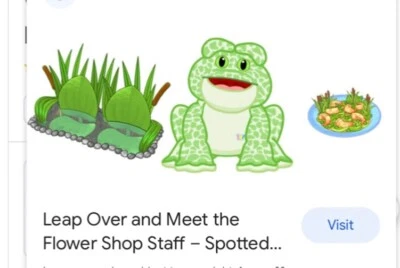 WEBKINZ PET ADOPTION CODE FOR SPOTTED FROG 🐸 HM142 - NO ACTUAL PET - Image 1 of 2