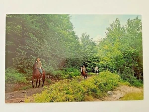 Post Card UNPOSTED Blackwater Falls State Park Davis West Virginia Horses - Picture 1 of 2