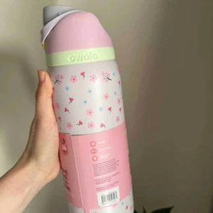 Owala Urban Outfitter Exclusive Tied And True Bows Bottle Cup 32oz New In Box UK - Picture 1 of 7