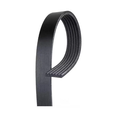 Gates For Hyundai Santa Fe XL 2013 Micro-V Belt | 0.807 in. / 20 mm. Top Width - Image 1 of 4