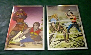 ZAGOR PANINI 161-177 Bonelli 2 figurine adesive metallizzate - Imagen 1 de 1