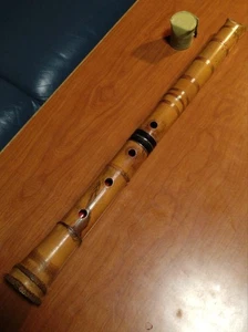 Dushanliu Un Pie 8 Pulgadas Tubo Esencia Inscripción Usado Microsonido Reparación - Imagen 1 de 5