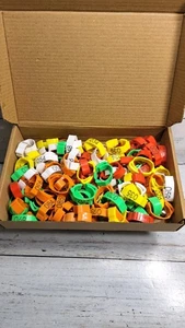 100 Stück Verstellbare Hühnerbeinbänder 5 Farben Nummeriert 16mm-20mm Hühneranhänger... - Bild 1 von 6