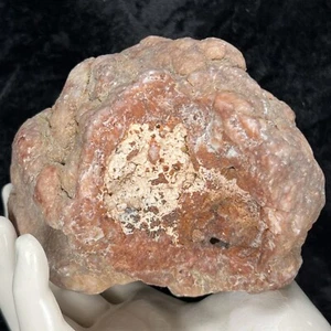 4-1/2" Geoda Natural Cuarzo Rojo Cristal Calcedonia Botrioidal 1.2Lb Dos Caras - Imagen 1 de 12