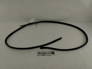 BMW 318i 325i 328i E36 Sedan Passenger Right Window Moulding Fits 1992-1998 93 - Picture 1 of 12