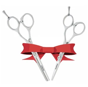 Friseur Schere SANSHIN JP9 Set - Bild 1 von 1