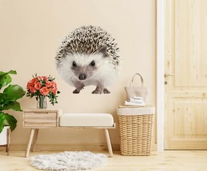 Papel pintado 3D lindo erizo M454 animal mural póster pegatina de pared Zoe - Imagen 1 de 6