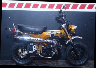 Skyteam Skymax 125 Special-Edition mit 12" Räder E5+ - Bild 1 von 4